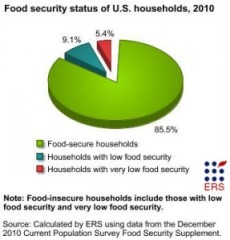 Hunger Stats 12010