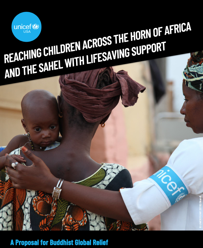 UNICEF proposal to Buddhist Global Relief for Horn of Africa relief funding.